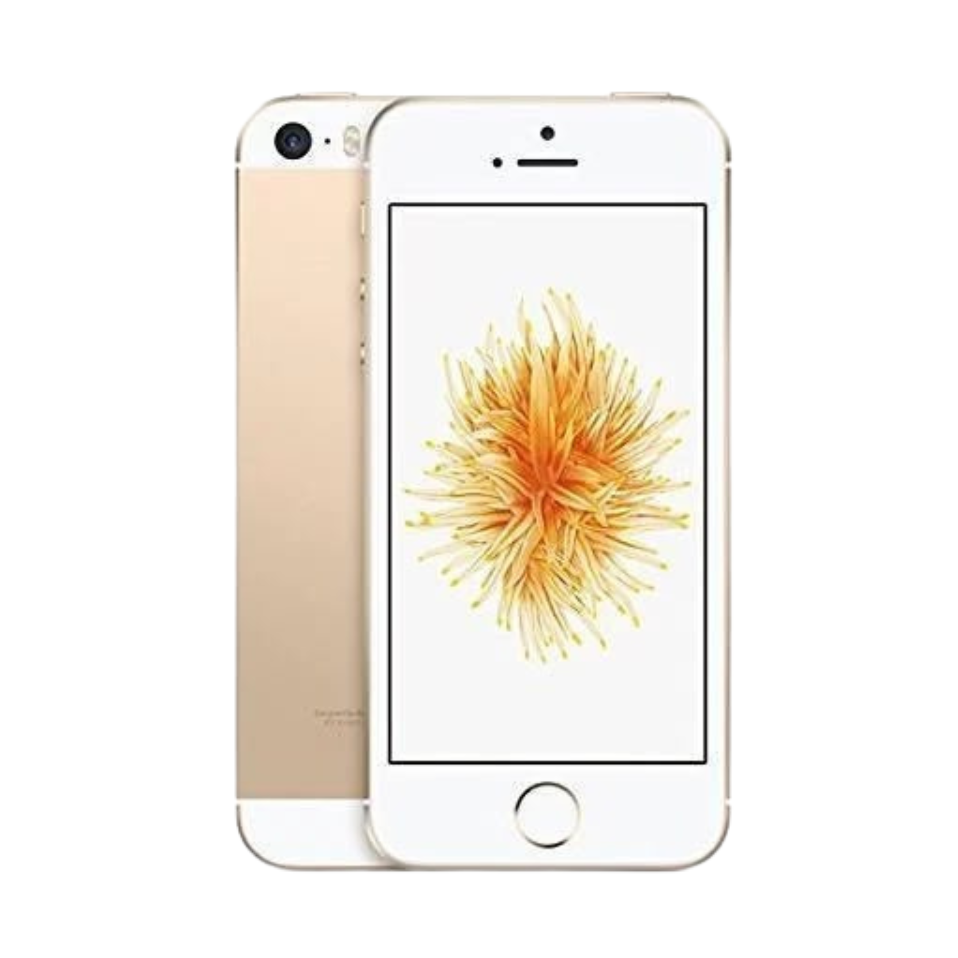 iPhone SE 1st Generation