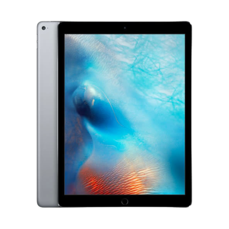 iPad Pro 12.9" (1st Generation, 2015)